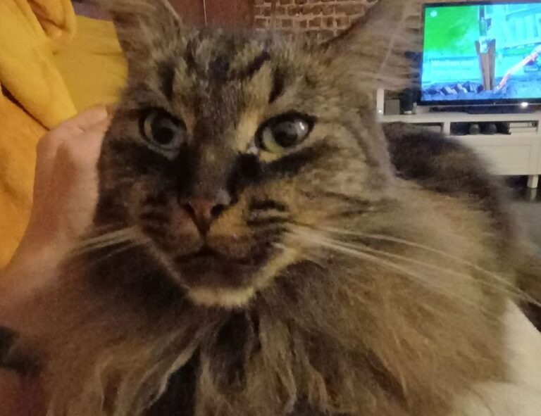 befitgametek gaming tech by befitnatic