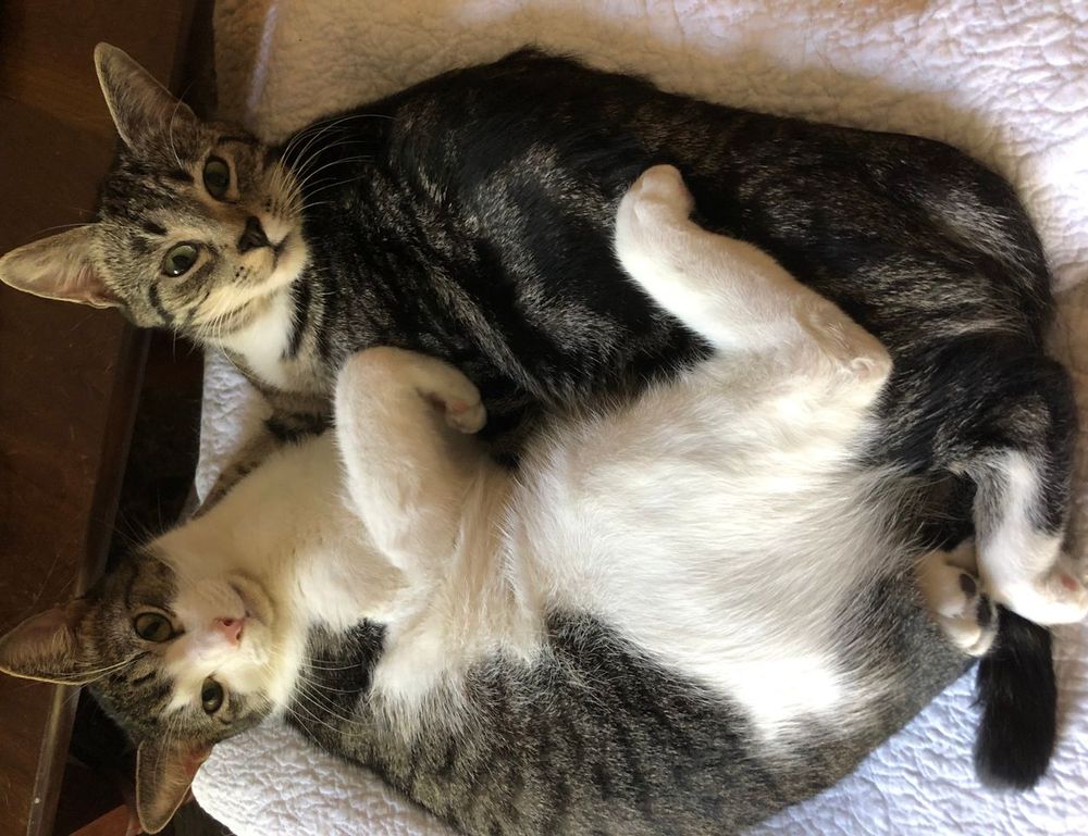 best online gaming guide feedgamebuzz