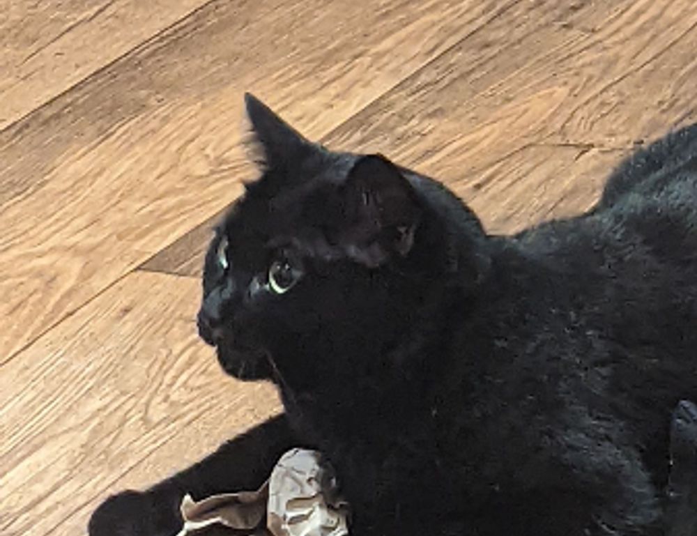 bfncplayer gamers guide by befitnatic