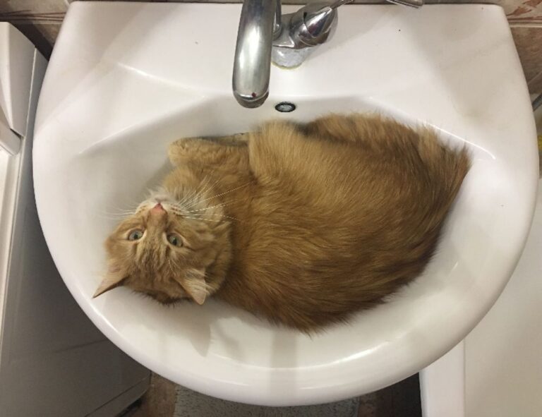 bfncreviews gaming reviews from befitnatic