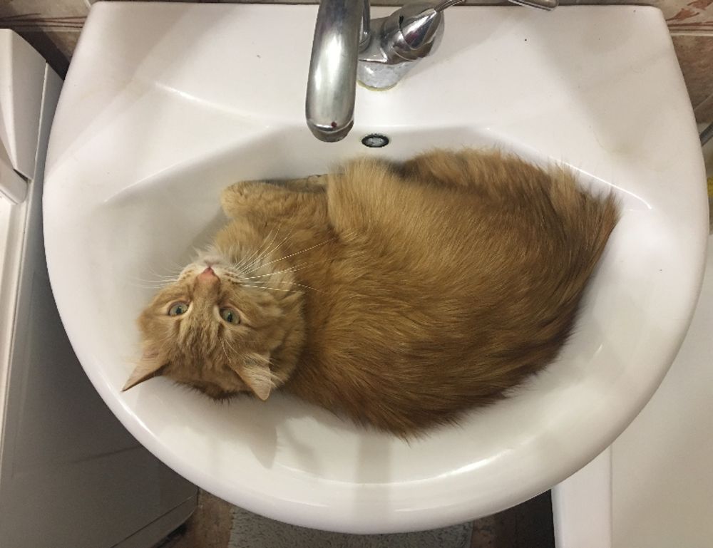 bfncreviews gaming reviews from befitnatic