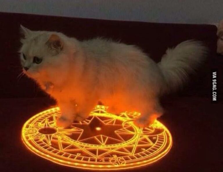 bfnctutorials game tutorials by befitnatic