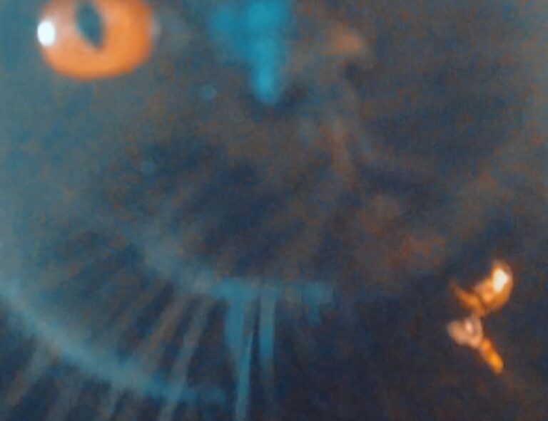 can hell2mize run on pc