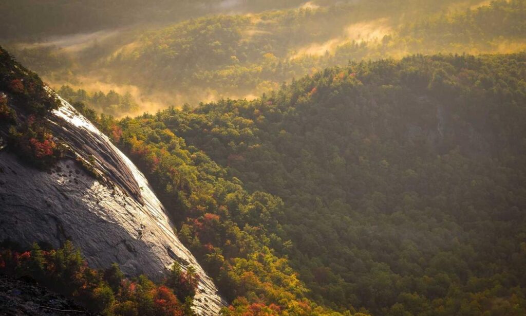 console gaming updates tportulator