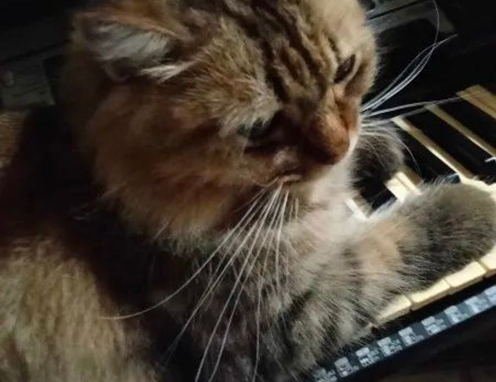 console tech tportulator