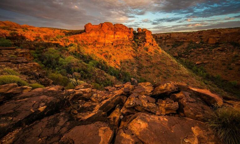 do online reviews matter bfncreviews