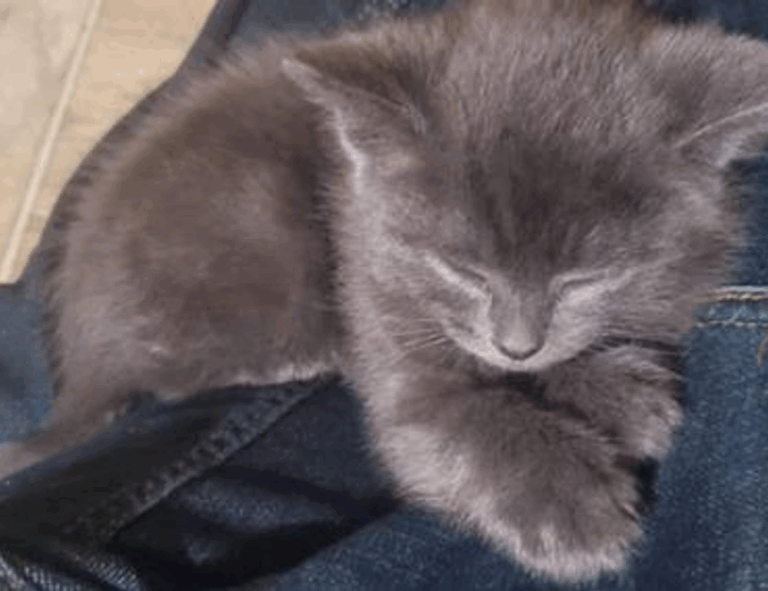 do online reviews matter bfncreviews