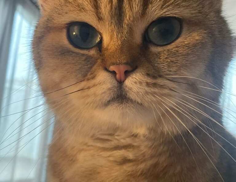 etsjavaapp new version