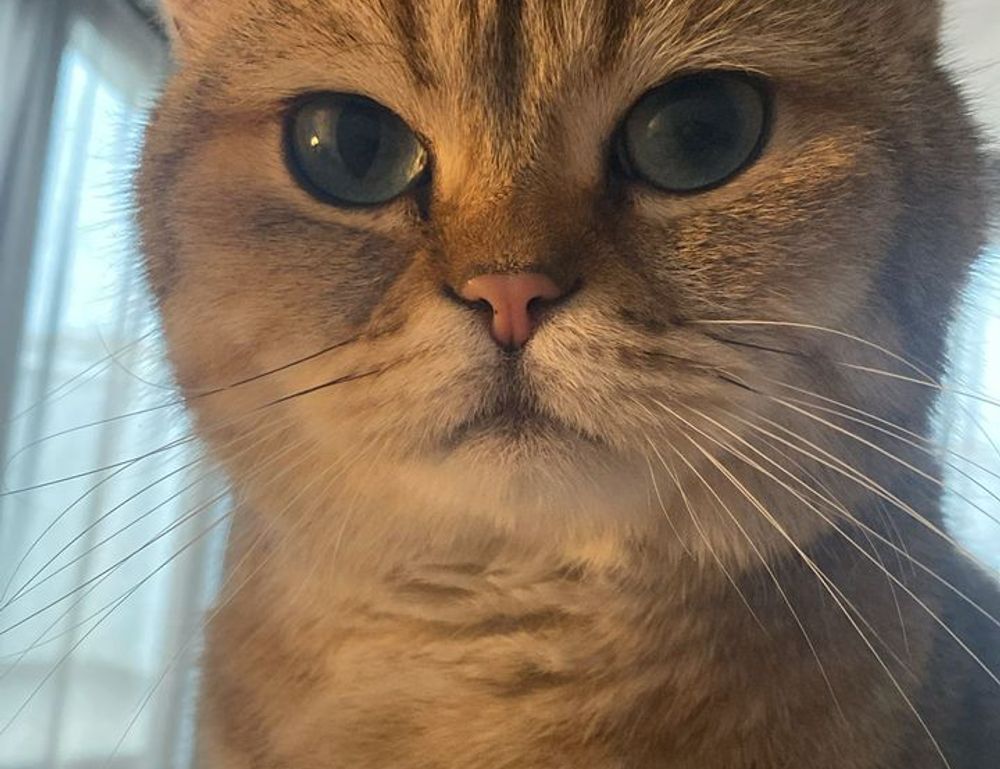 etsjavaapp new version