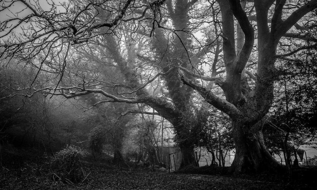 game event under growthgameline