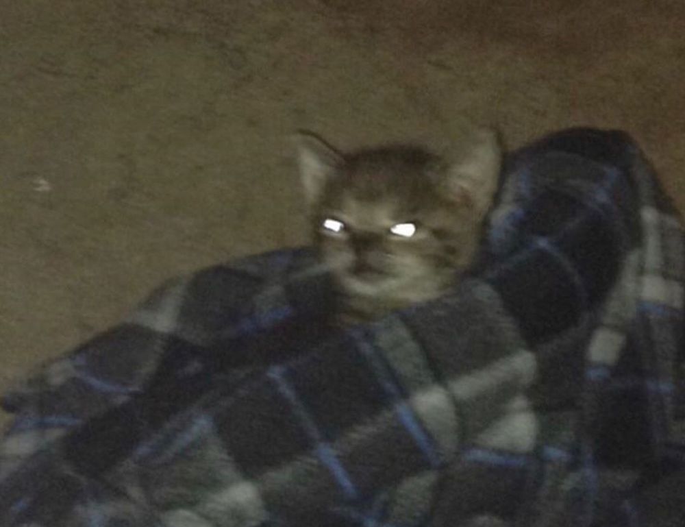 games tgarchirvetech