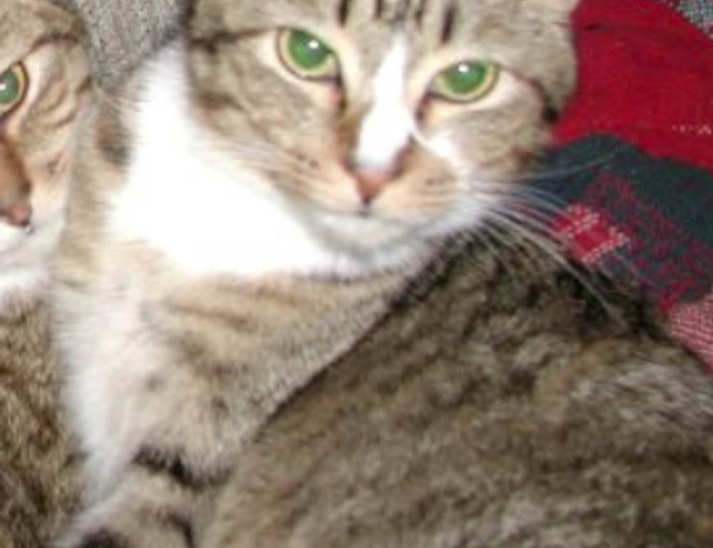 gaming hacks togamesticky