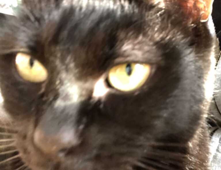 gaming pc hacks togamesticky