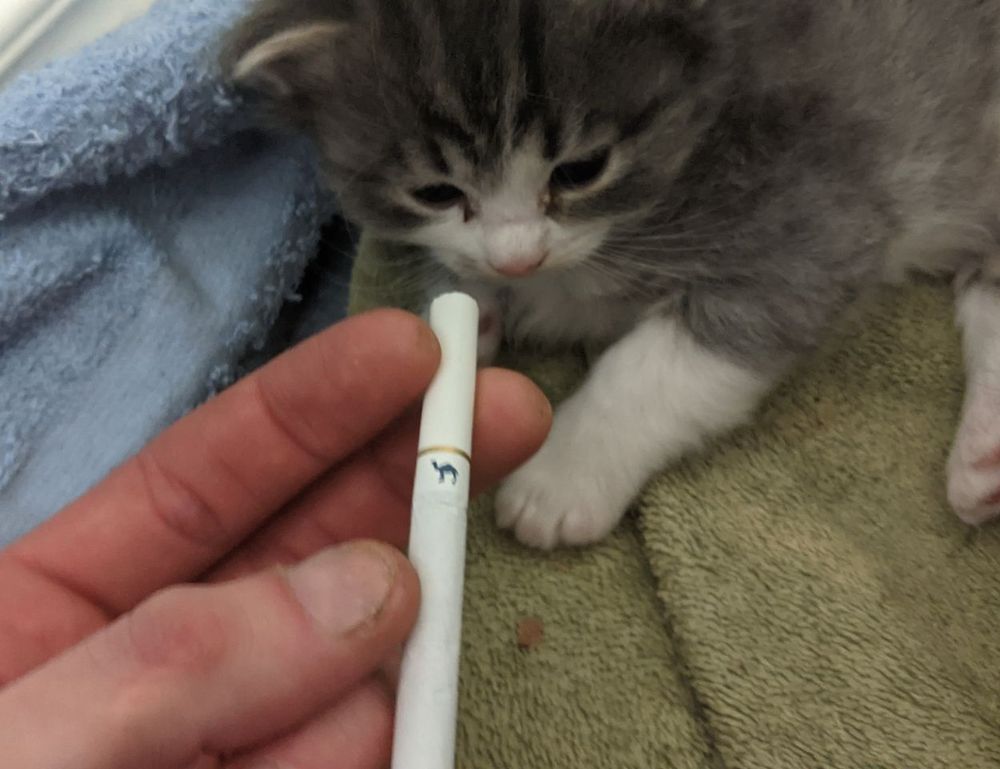 gaming tutorials tgageeks