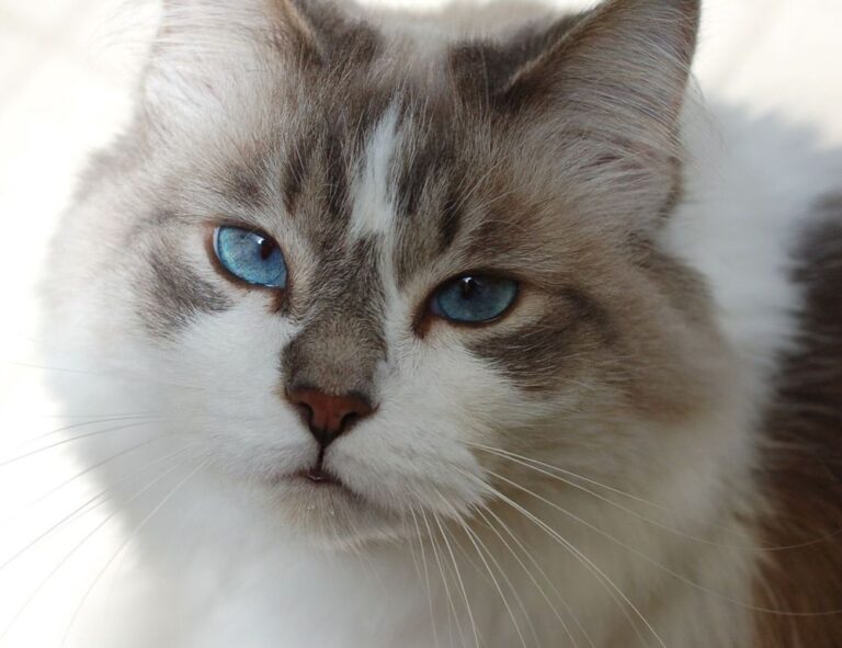 gaming tutorials thehakegeeks