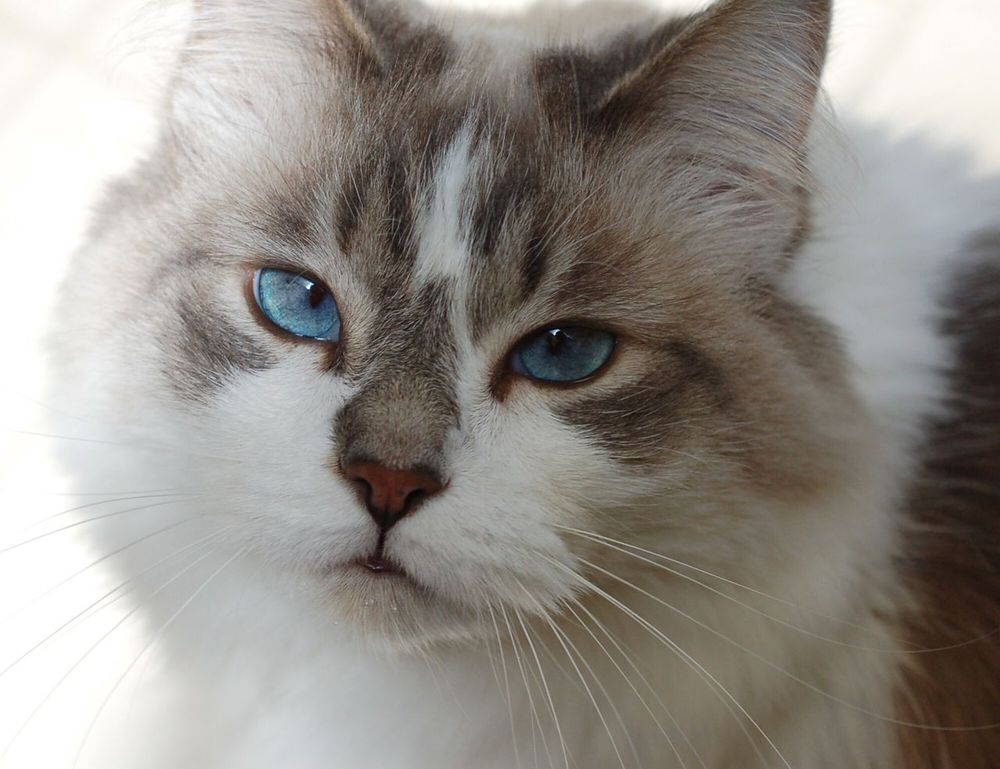 gaming tutorials thehakegeeks