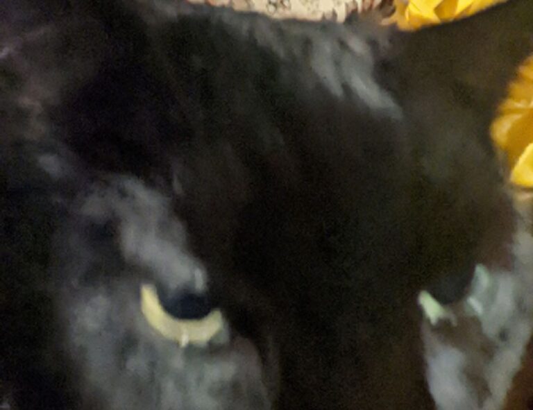 gaming updates befitgametek