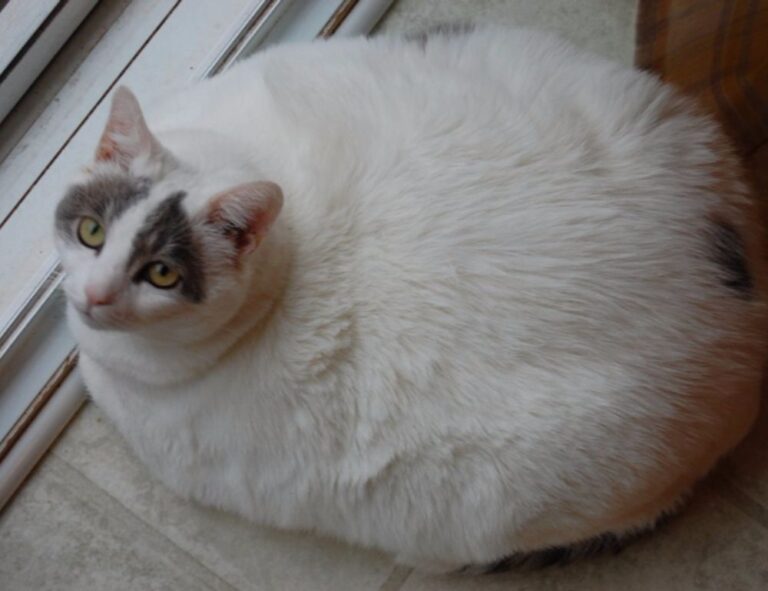 how are hacks made togamesticky