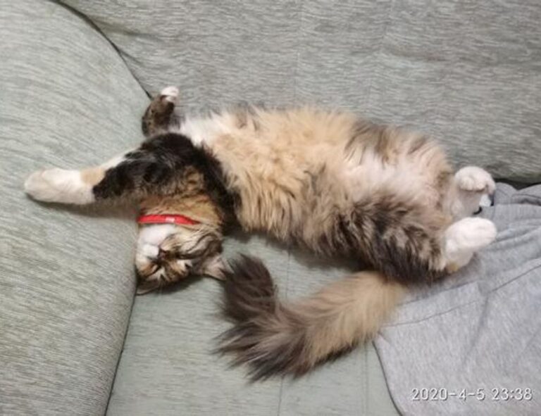 how important are online reviews bfncreviews