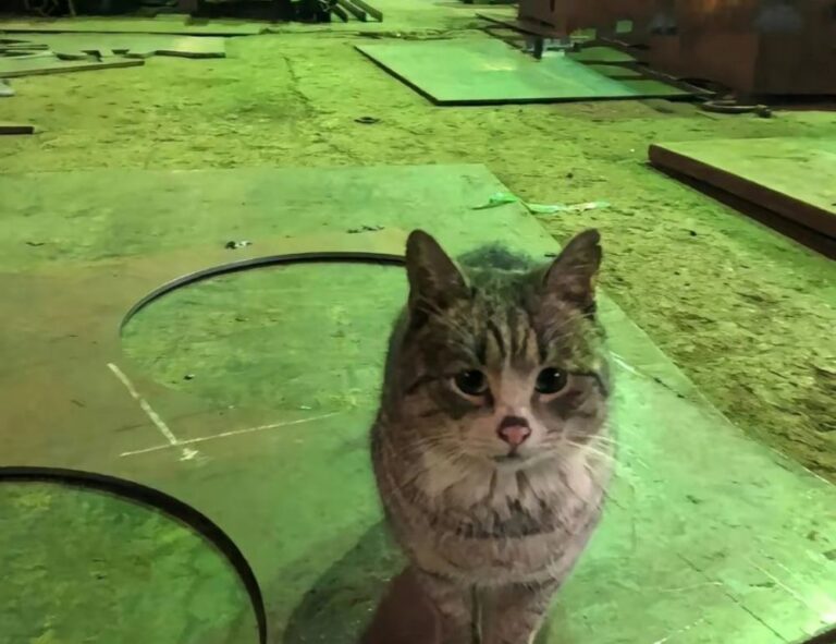 how important are online reviews bfncreviews