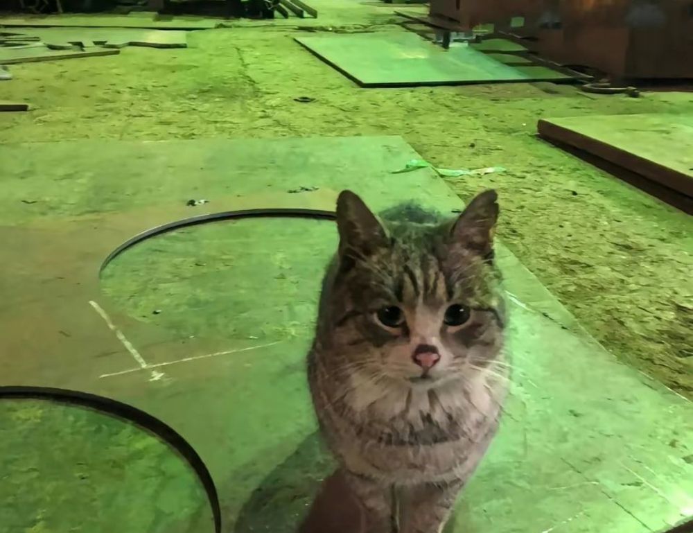 how important are online reviews bfncreviews