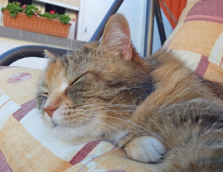 how often should i upgrade my gpu jogameplayer