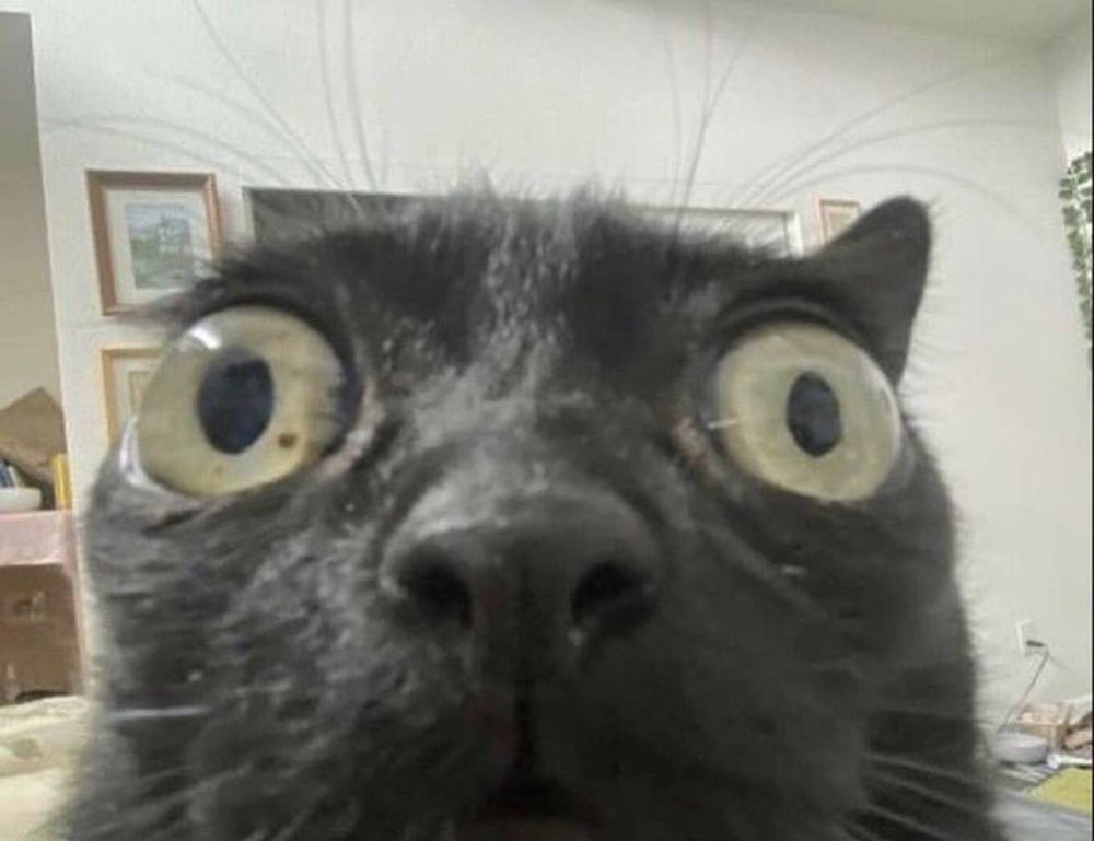 how set up jogamesole