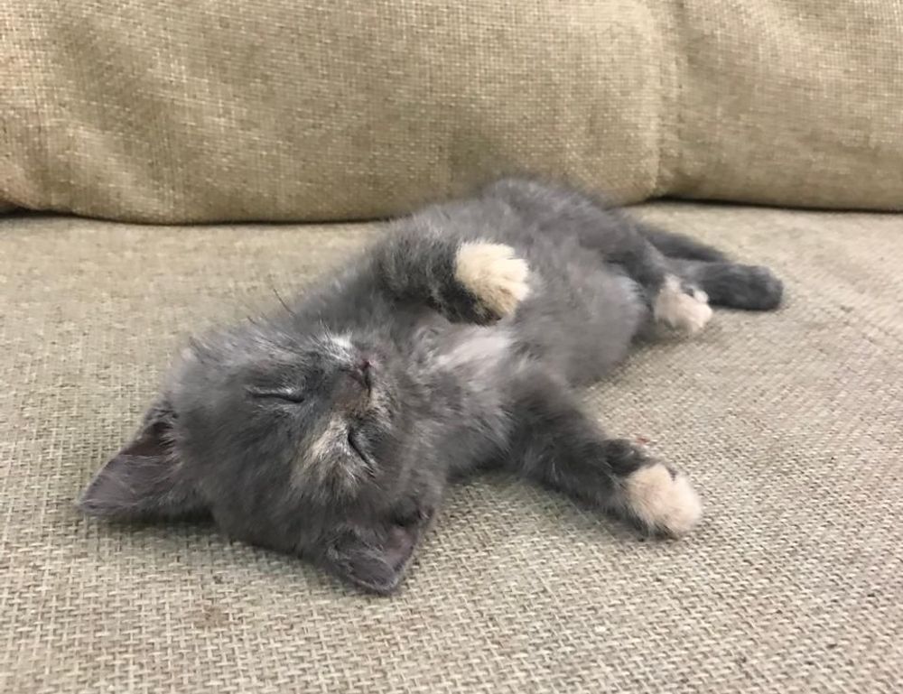 how to download games togamesticky