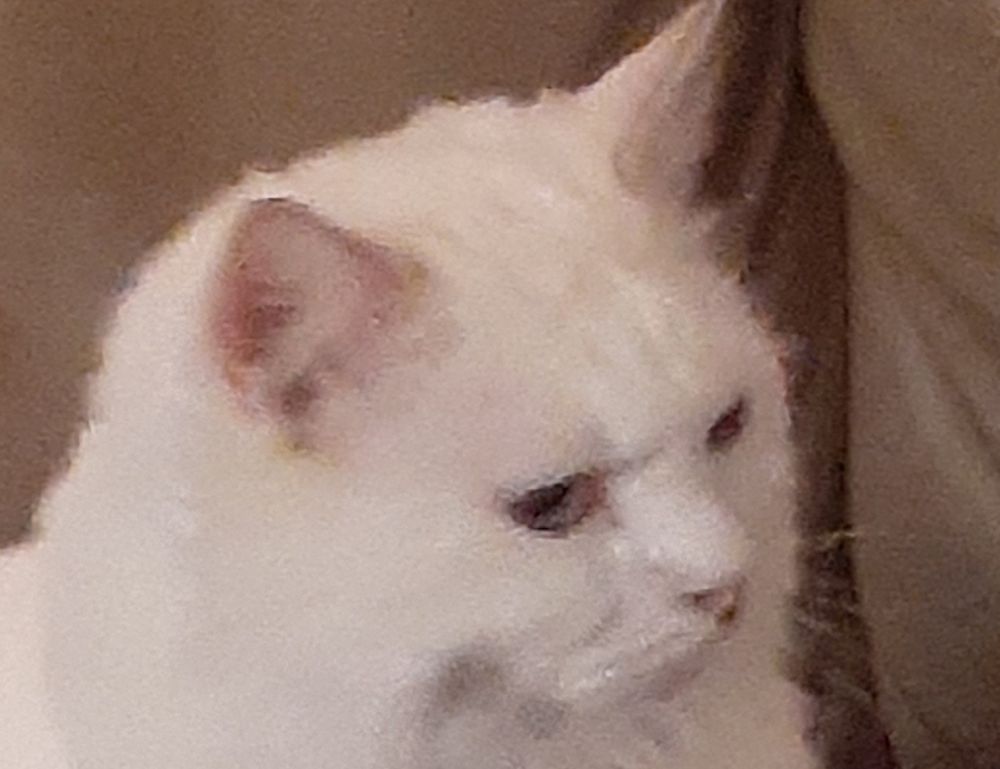 how to download games togamesticky