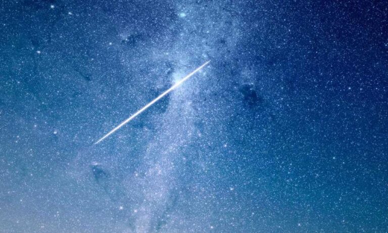 how to enroll tportvent