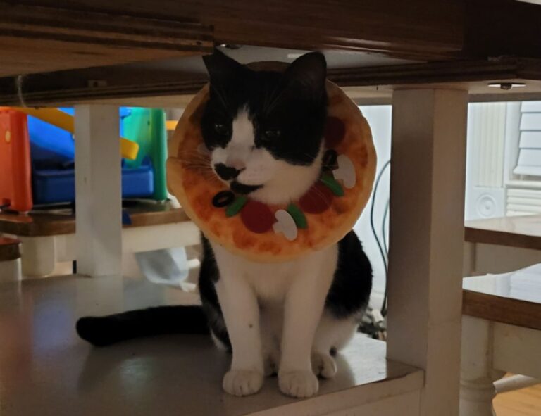 how to manage online reviews bfncreviews