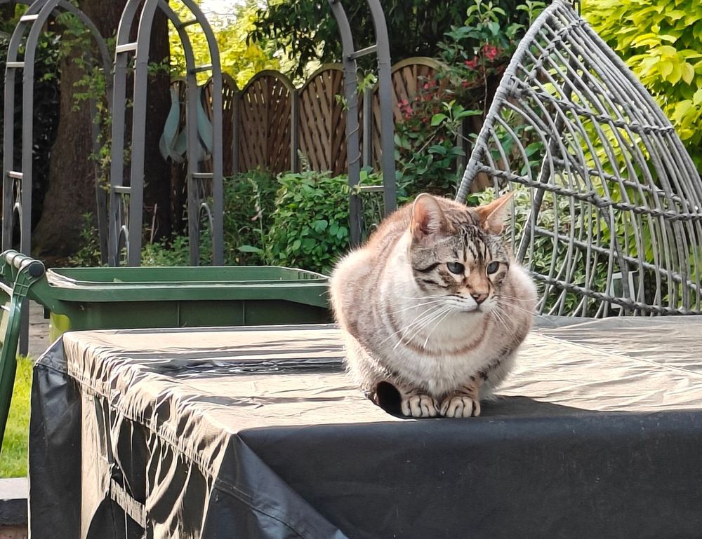 how to register tportvent