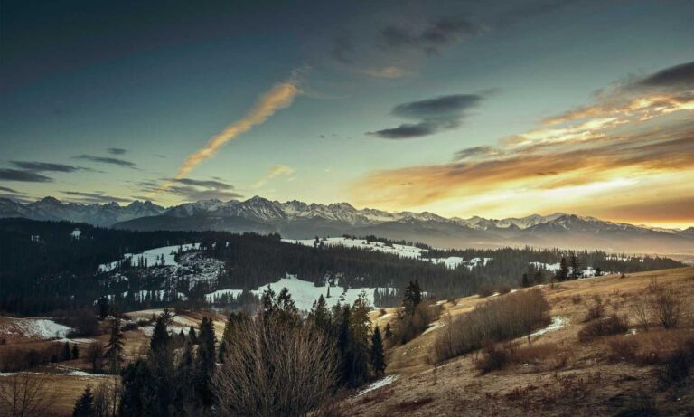 how to set up pblemulator