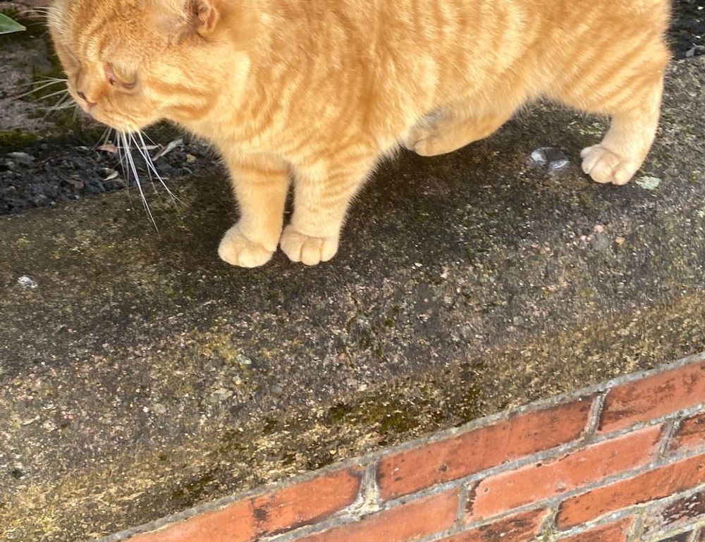 how to update etsjavaapp by etruesports