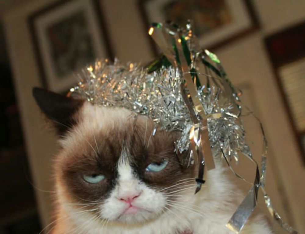 how to update pblemulator