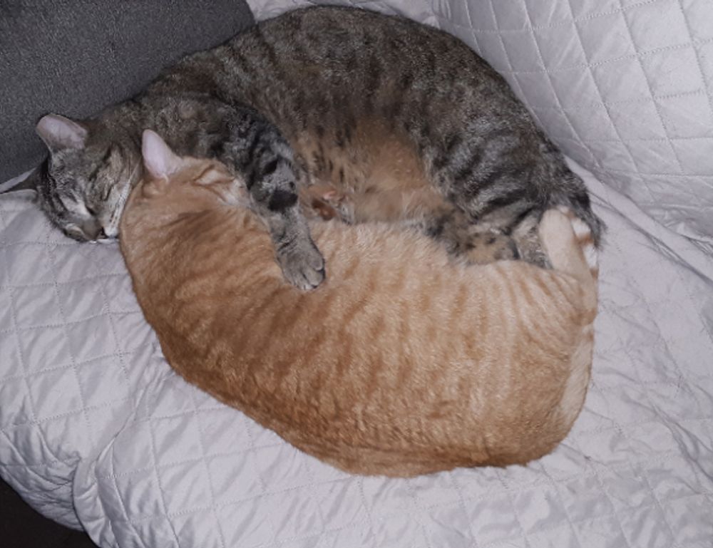 is marshock200 the best pc game 2023