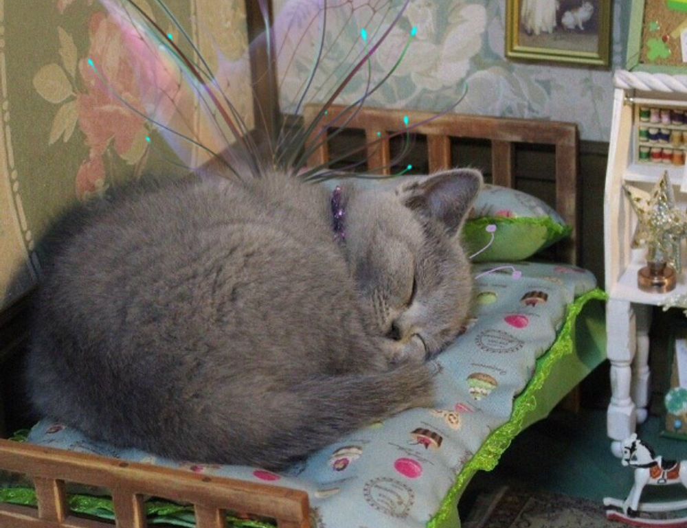 is popguroll popular now