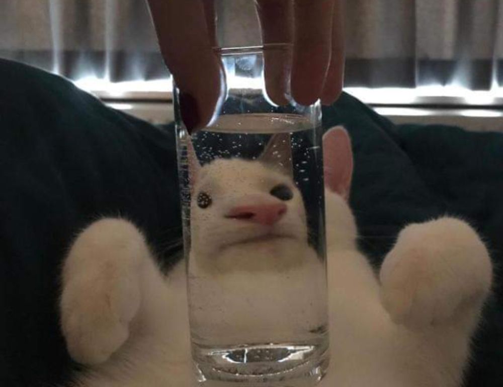 jogameplayer gaming system reviews by javaobjects