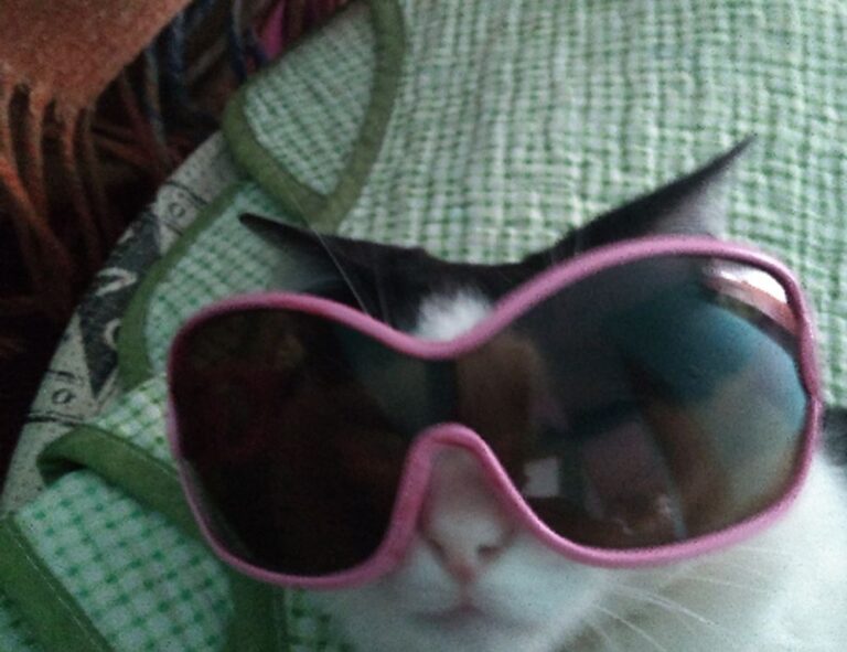 latest gaming trends gmrrmulator