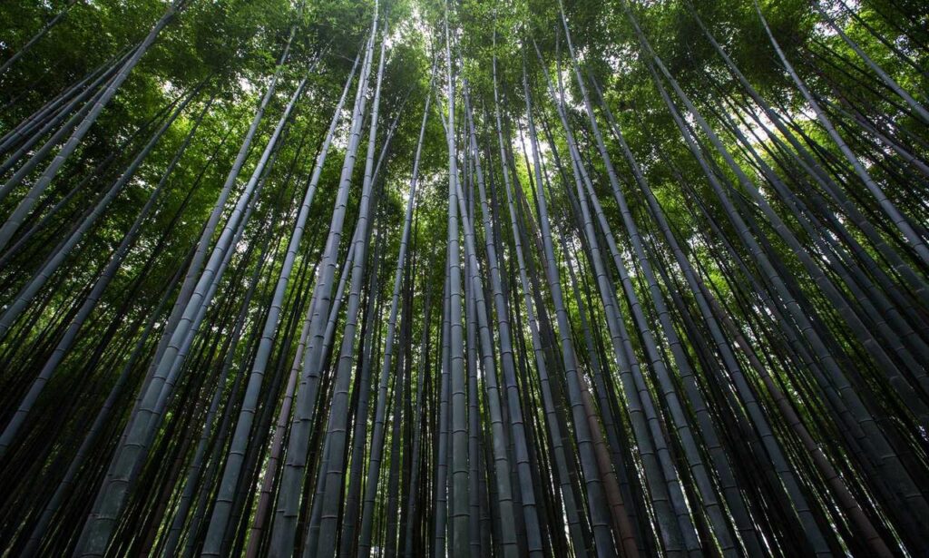 latest online gaming guidelines feedgamebuzz