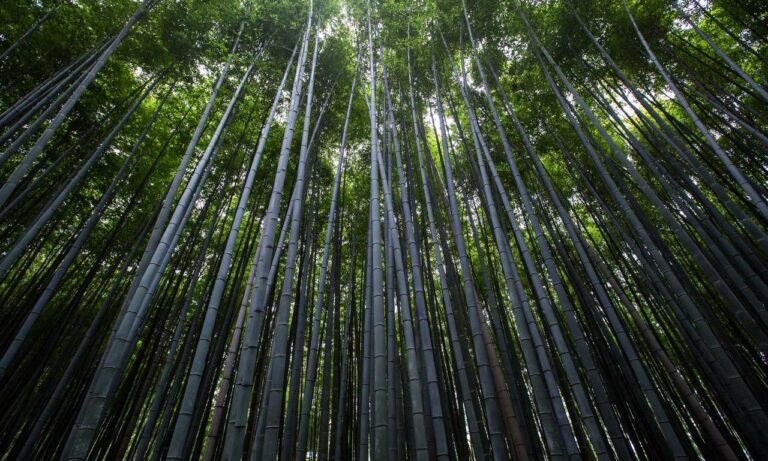 latest online gaming guidelines feedgamebuzz