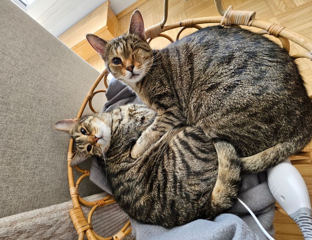 mobile update undergarcade