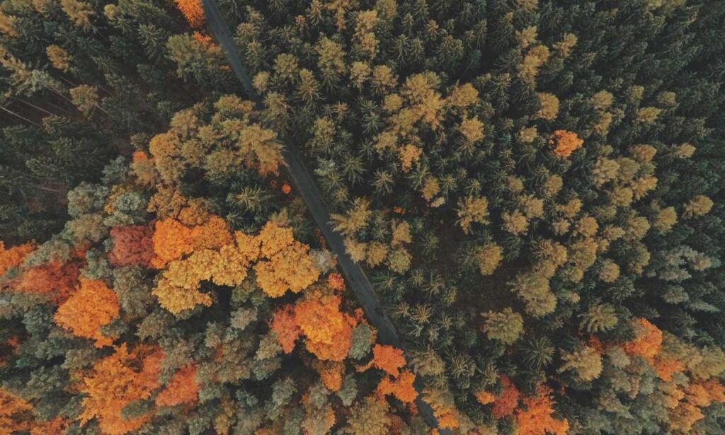 multiplayer tips togamesticky