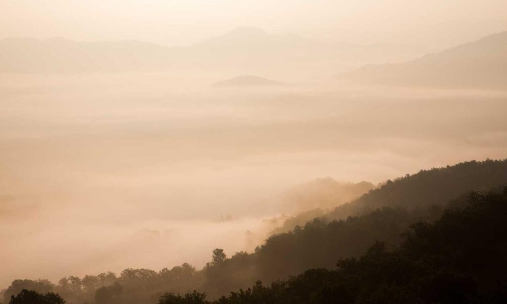 newest gaming trends gmrrmulator