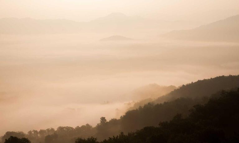 newest gaming trends gmrrmulator