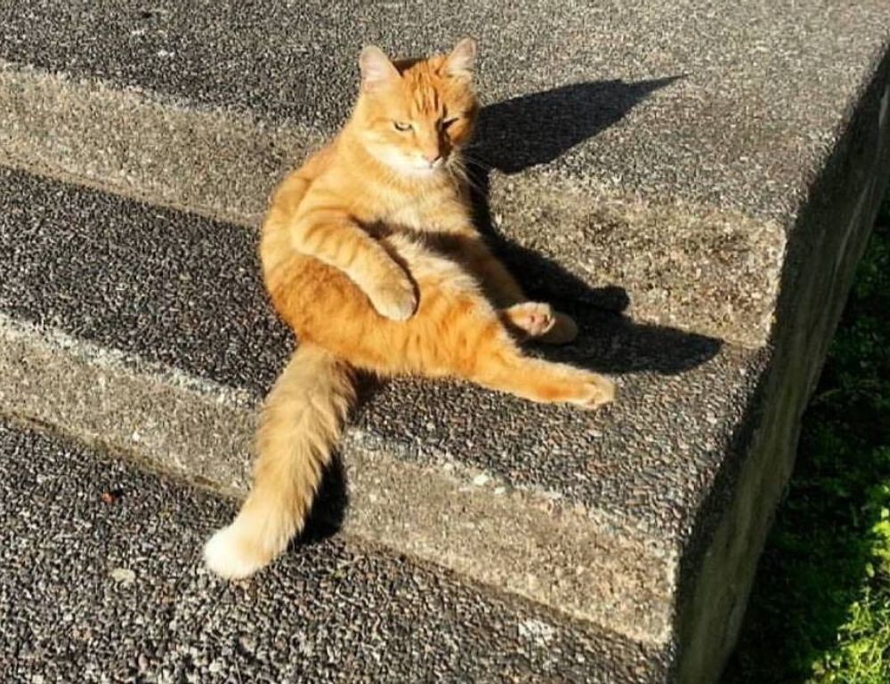 news game tportgametek