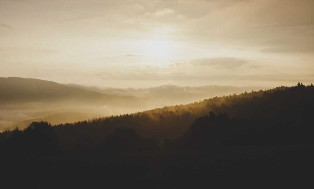 online gaming accessories bfncplayer