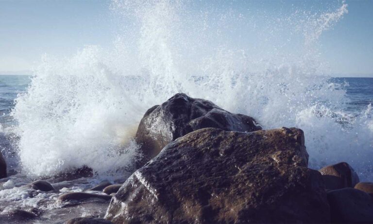 online reviews bfncreviews