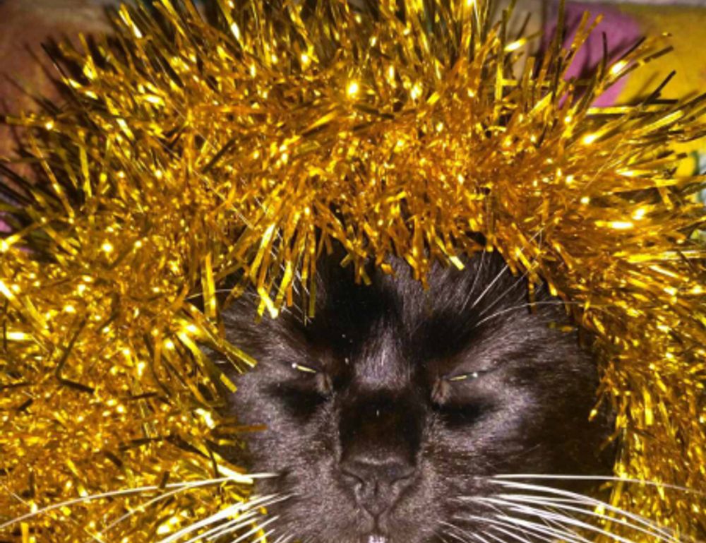 pblemulator upgrades