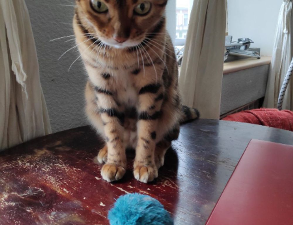 pc gaming bfnctutorials